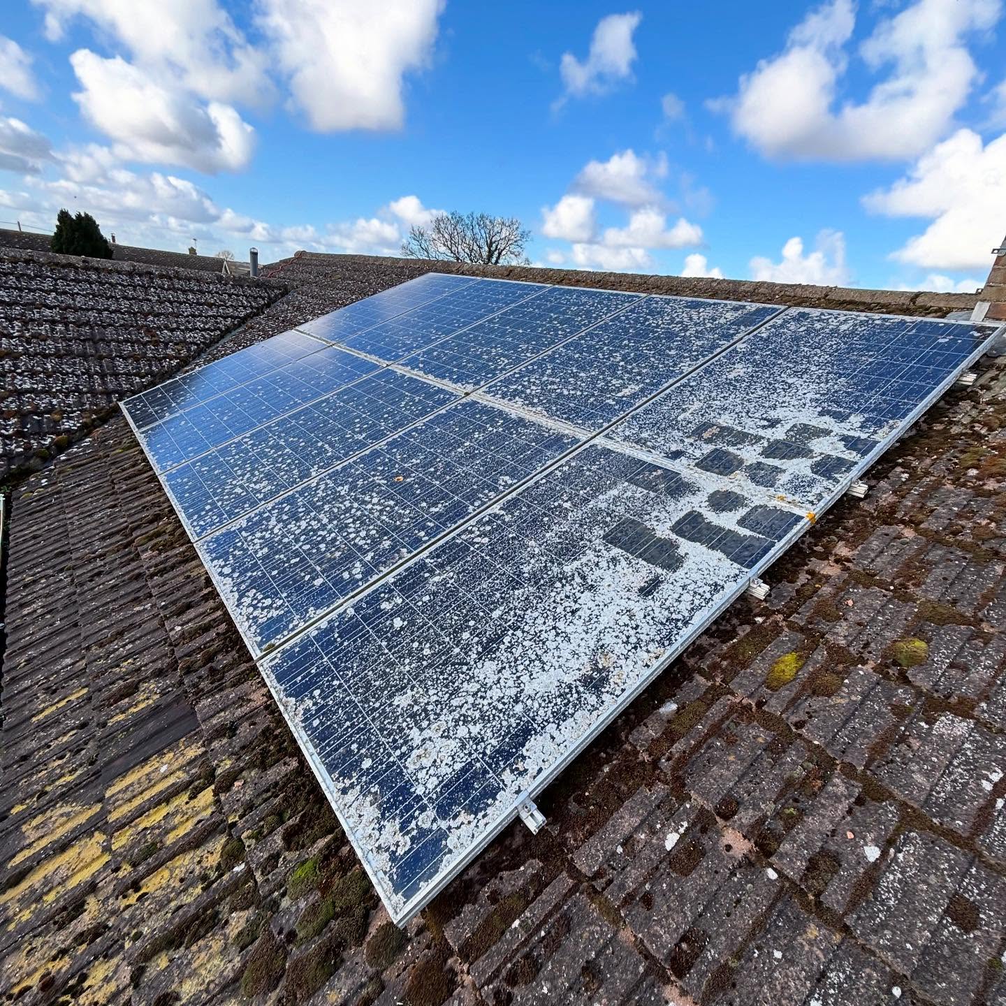 solar panel cleaning