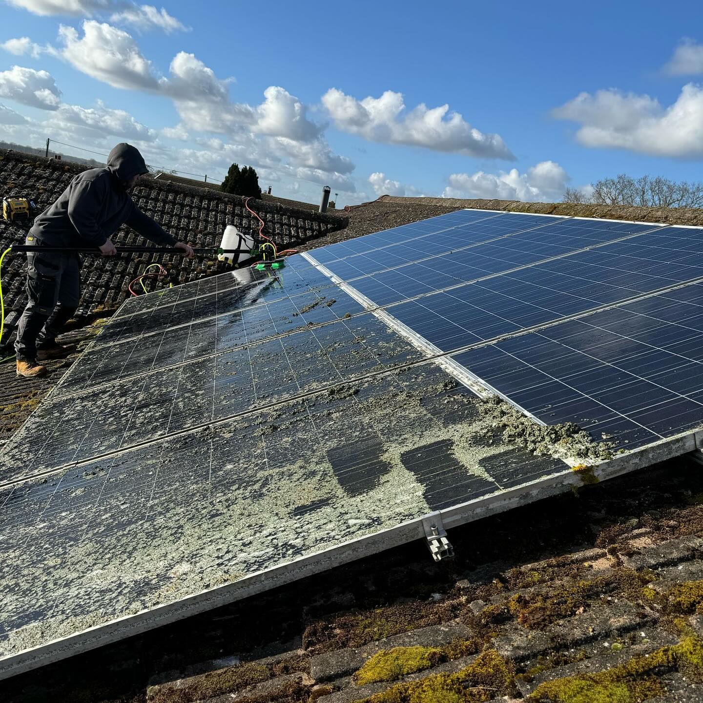 solar panel cleaning