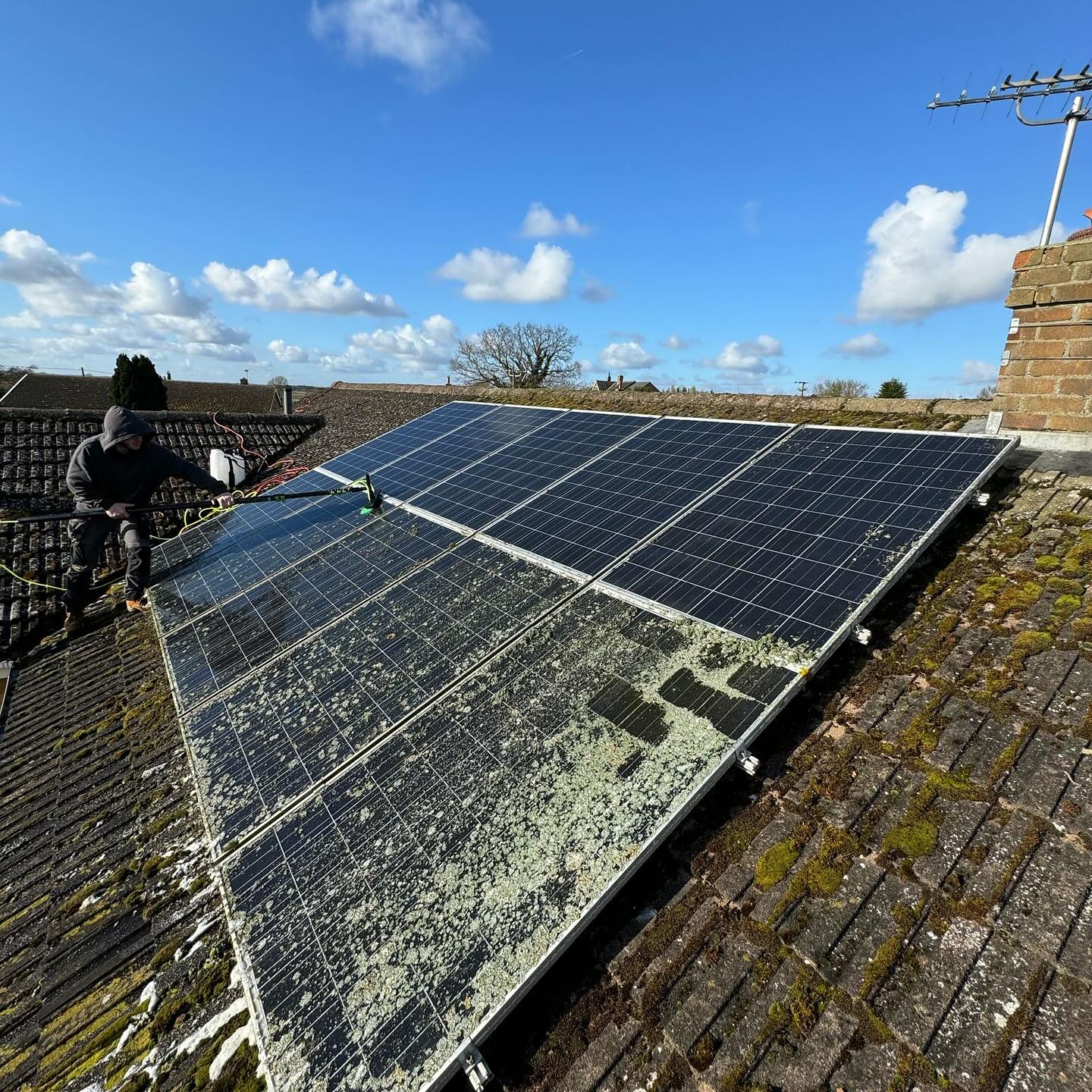 solar panel cleaning