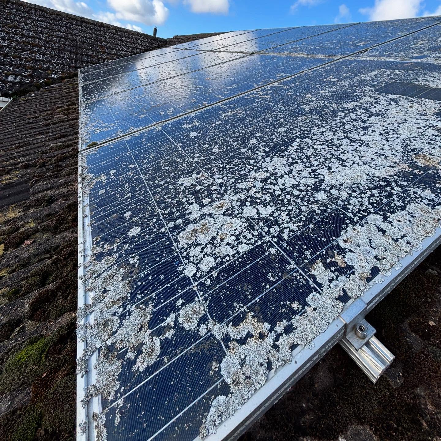 solar panel cleaning