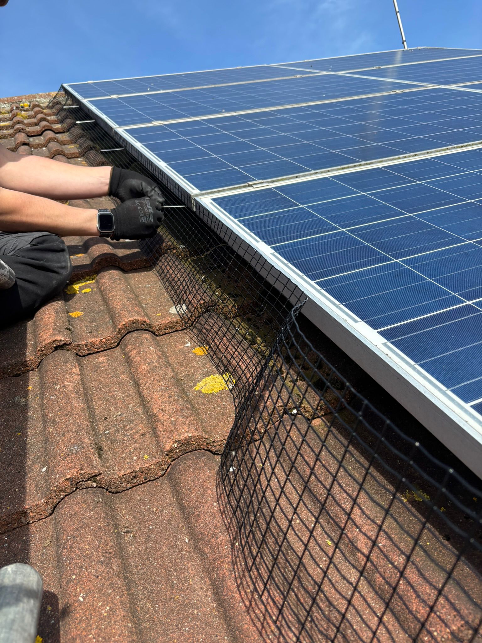 6f5e650b-0884-4599-8cb6-094bda90bf7f