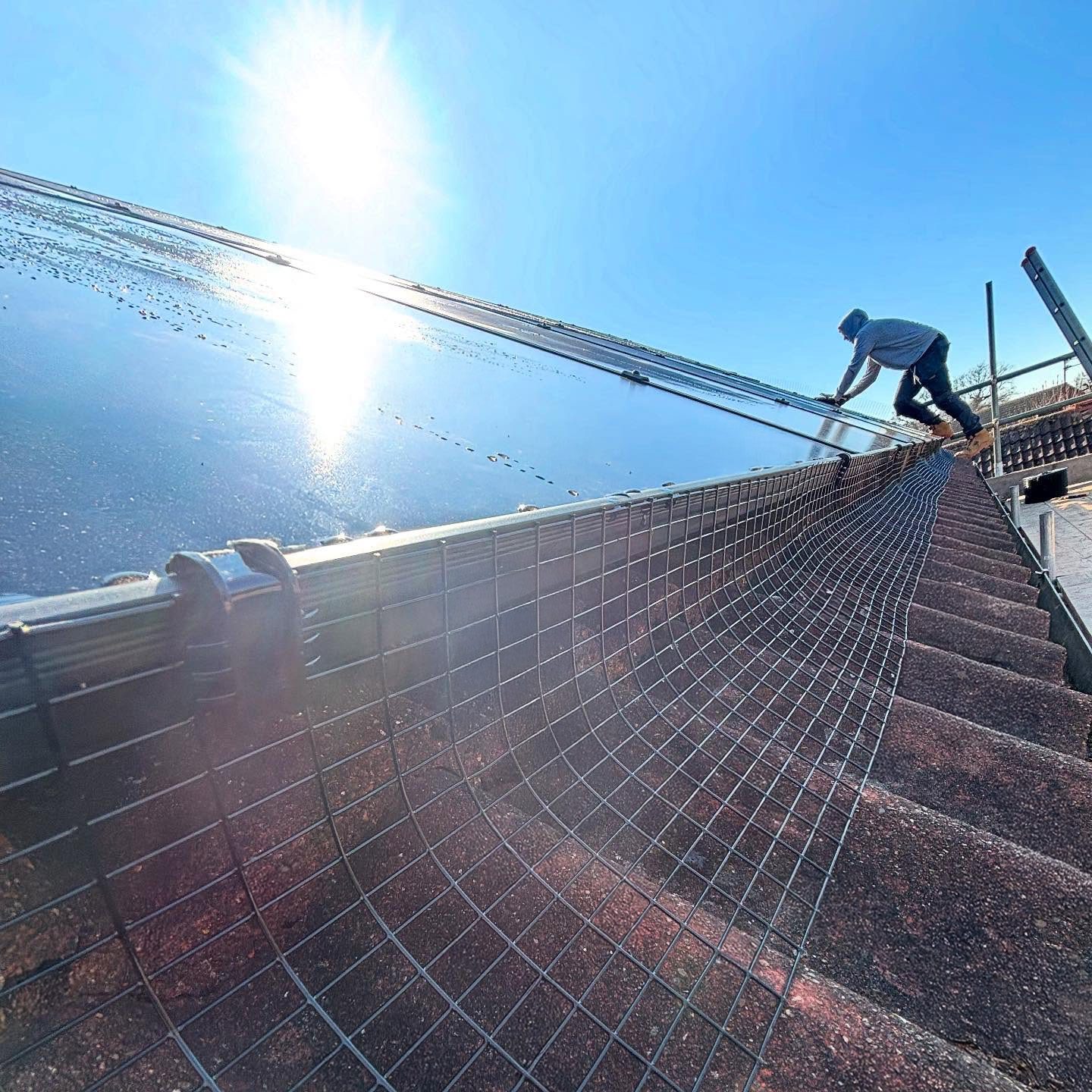bird proofing for solar panels